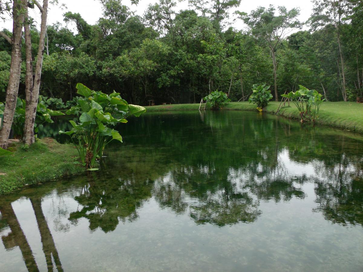 Cidade goiana é um paraíso com mais de 50 cavernas e grutas pertinho de Goiânia