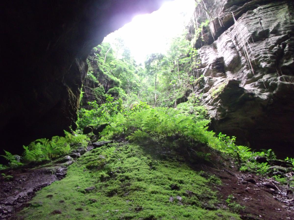 Cidade goiana é um paraíso com mais de 50 cavernas e grutas pertinho de Goiânia